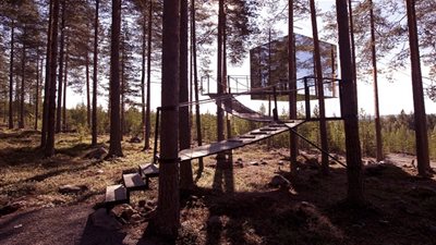 منتجع Treehotel في قلب الغابة السويدية