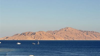 وزير البيئة رغم بطلان سعودية 