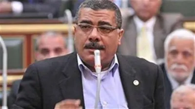 رئيس الإسكان بالبرلمان: إعلان الحكومة القضاء على العشوائيات سذاجة سياسية
