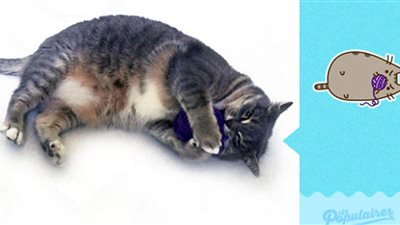 فرنسي يعمل ملصقات للفيس بوك بالتعاون مع قطه