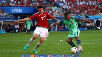 بالفيديو.. ناني يدرك التعادل للبرتغال أمام المجر ويبقي على آمال التأهل - يورو 2016