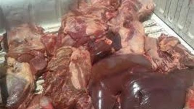 ضبط 136 كيلو كبد وقوانص فاسدة وإغلاق صيدلية في كفر الشيخ 