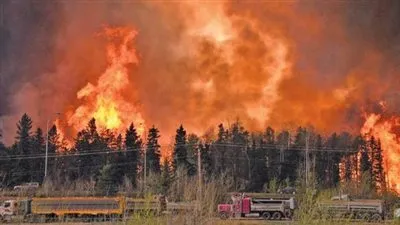وزير قبرصى : حرائق الغابات باتت الآن تحت السيطرة 