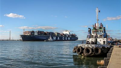 رصيد صومعة الحبوب والغلال بميناء دمياط 50027 طن قمح