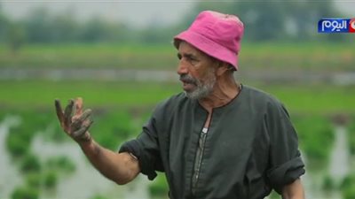 مفاجأة.. مزارع بالغربية: 