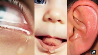 لماذا ماء العين مالح ..وماء الأذن مر..وماء الفم عذب ؟