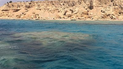 نور فرحات عن مصرية 