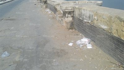 حملة مكبرة لتطهير ورفع القمامة والمخلفات أعلى كوبري 