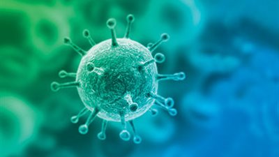 نبذة عن الحمى المالطية