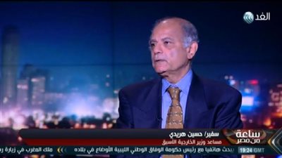 دبلوماسي سابق: خروج بريطانيا من الاتحاد الأوروبي يؤثر بالسلب على المساعدات المقدمة للدول (فيديو)