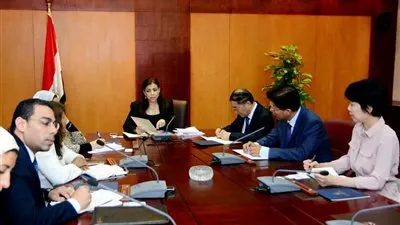 وزيرة الاستثمار تلتقي سفير الصين بالقاهرة لبحث الاستثمارات  المشتركة بين البلدين