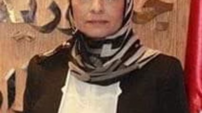 السيرة الذاتية لمساعد وزير العدل لشئون حقوق المرأة والطفل  