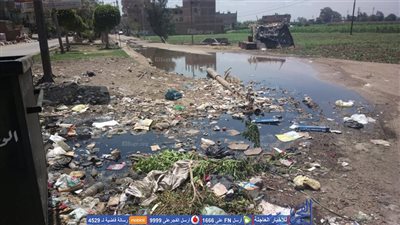 مواطن بالمنوفية يتعرض للسب والقذف داخل رئاسة مدينة قويسنا بسبب شكوى (صور)