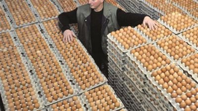 وقف بيع بيض دجاج الأقفاص في أوروبا