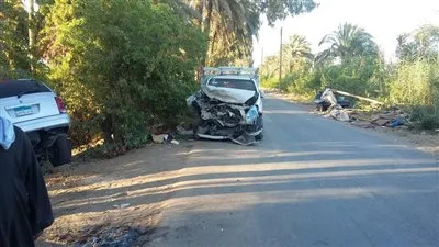 مصرع مدير بنك وإصابة نجله في حادث تصادم ببني سويف
