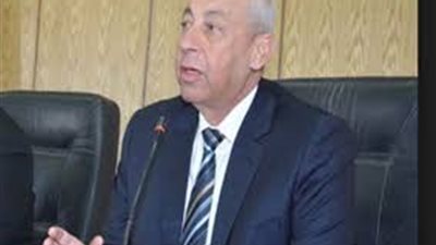 محافظ أسوان: الاحتفالات بذكري ثورة 30 يونيو تعم المحافظة بأكملها 