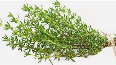 فوائد لا مثيل لها مع نبات 