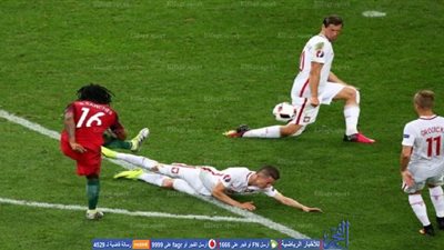 بولندا تعيش الصدمة بعد توديع اليورو