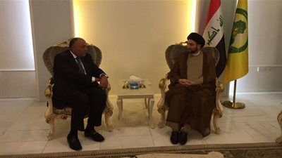 وزير الخارجية يدعو رئيس المجلس الإسلامي الأعلى بالعراق لزيارة مصر 