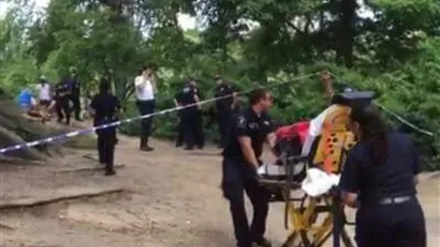 عاجل.. انفجار في الحديقة المركزية في نيويورك