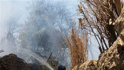 عاجل.. حريق هائل يلتهم 8 أفدنة نخيل بالوادي الجديد (صور)