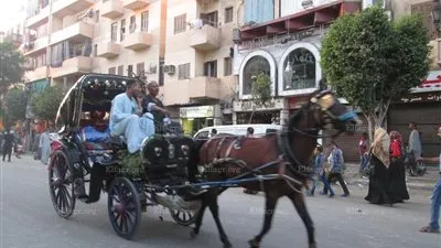 الاحتفال بعيد الفطر يُعيد لـ  