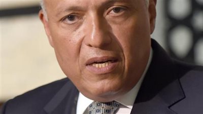 تايمز أوف إسرائيل: وزير الخارجية المصري يقوم بزيارة نادرة لتل أبيب