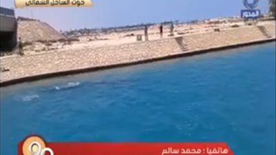 رئيس الإدارة المركزية للمحميات الطبيعية: وجود حوت في السواحل المصرية يؤكد سلامة البيئة المصرية (فيديو)