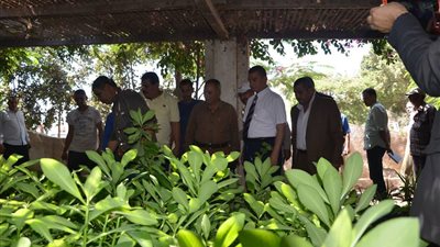 محفظ كفرالشيخ: المشتل المركزي ببيلا من أهم المشرعات لأنه أنشئ في عهدي