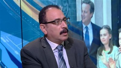 استاذ علوم سياسية: وصف 