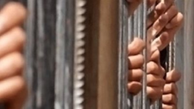 حبس ثلاثة في واقعة ذبح 4 حمير بمصر القديمة