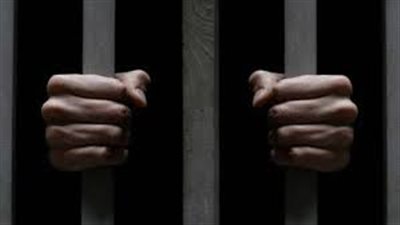 الحكم على هولندي بالحبس لمدة شهر لإهانة الملك