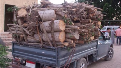 إحالة طبيب الوحدة الصحية بالصالحية القديمة للتحقيقات..(صور)