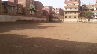 مركز شباب ميت عاصم ببنها مأوي للحيوانات الضالة.. والأهالي يستغيثون بالمحافظ (صور)