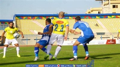 تعرف على تشكيل الجهاز الفني الجديد لأسوان