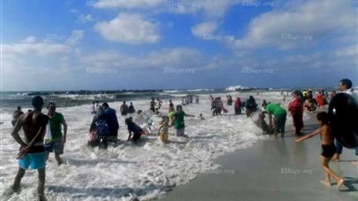 حملات إلكترونية لإغلاق 