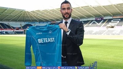 سوانزي سيتي يضم الحارس الأسترالي بيريجيتي