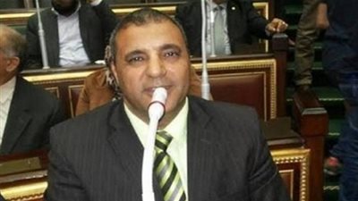 نائب برلماني: محافظة المنيا مكتظة بالمتشددين والإرهابيين