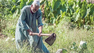 ثورة 23 يوليو أنصفت الفلاح المصري والأنظمة المتتالية أهدرت حقه