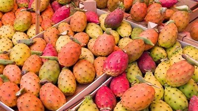 معلومات لا تعرفها عن 