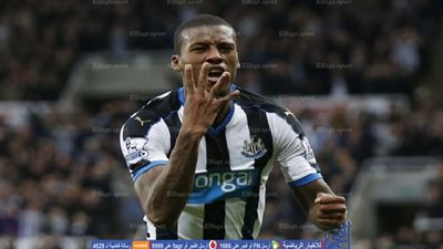    ليفربول يضم فينالدوم من نيوكاسل   