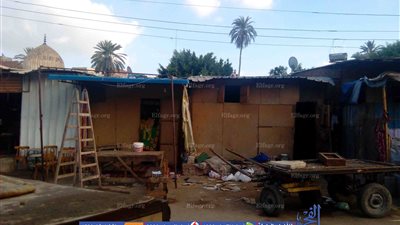 سكان المقابر بالمحلة: 