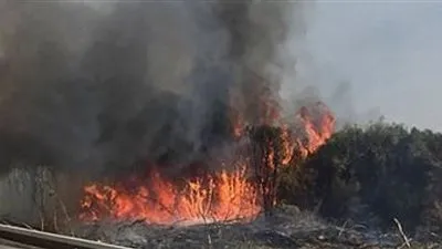 إخلاء 300 منزل شمالي لوس أنجلوس بسبب حريق غابات