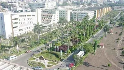 جامعة المنصورة تكشف شهادات مزورة لدورات تدريبية باسمها 