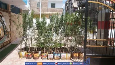 زراعة 55 شجرة رمان تحية لشهداء الواجب بدمياط (صور)