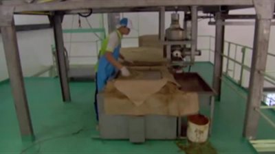 كيف تصنع صلصة الصويا