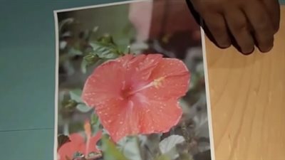 كيف تطبع صوره على خشبه