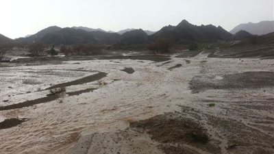 هطول أمطار متوسطة على قرى جنوب العيص