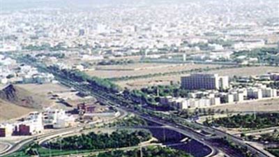 أمانة المدينة تطرح منافسة عقد مكافحة 