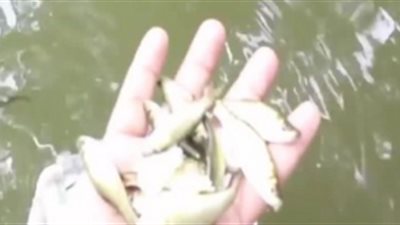 طريقة صنع الة لصيد السمك